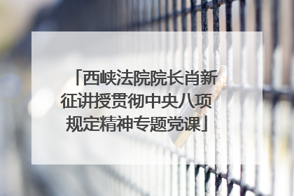 西峡法院院长肖新征讲授贯彻中央八项规定精神专题党课