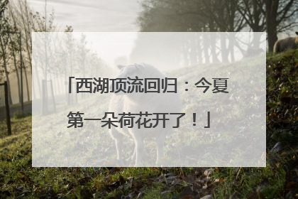 西湖顶流回归：今夏第一朵荷花开了！