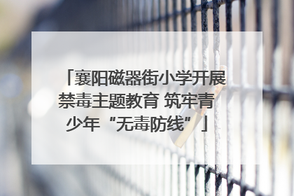 襄阳磁器街小学开展禁毒主题教育 筑牢青少年“无毒防线”