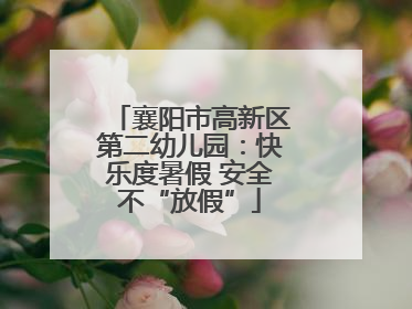 襄阳市高新区第二幼儿园：快乐度暑假 安全不“放假”