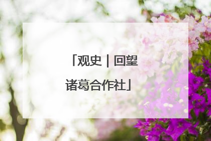 观史｜回望诸葛合作社