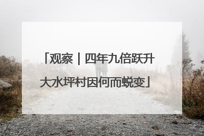 观察｜四年九倍跃升 大水坪村因何而蜕变