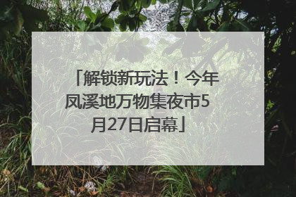 解锁新玩法！今年凤溪地万物集夜市5月27日启幕