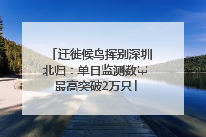 迁徙候鸟挥别深圳北归：单日监测数量最高突破2万只