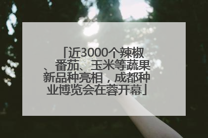 近3000个辣椒、番茄、玉米等蔬果新品种亮相，成都种业博览会在蓉开幕