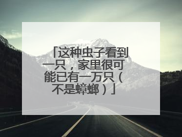 这种虫子看到一只，家里很可能已有一万只（不是蟑螂）