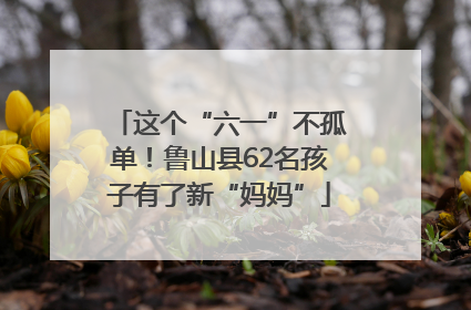 这个“六一”不孤单！鲁山县62名孩子有了新“妈妈”