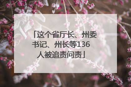 这个省厅长、州委书记、州长等136人被追责问责