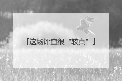 这场评查很“较真”