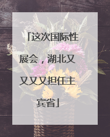 这次国际性展会，湖北又又又又担任主宾省