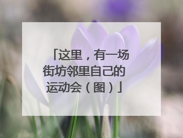 这里，有一场街坊邻里自己的运动会（图）