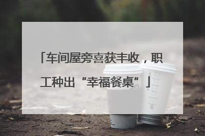 车间屋旁喜获丰收，职工种出“幸福餐桌”