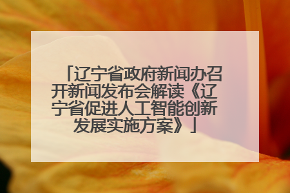辽宁省政府新闻办召开新闻发布会解读《辽宁省促进人工智能创新发展实施方案》