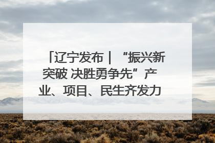 辽宁发布｜“振兴新突破 决胜勇争先”产业、项目、民生齐发力 葫芦岛按下决胜之年“加速键”