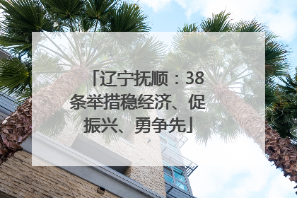 辽宁抚顺：38条举措稳经济、促振兴、勇争先