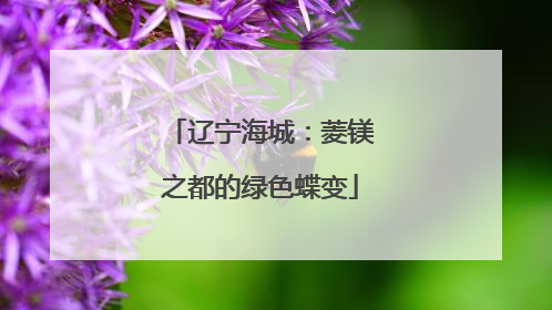 辽宁海城：菱镁之都的绿色蝶变