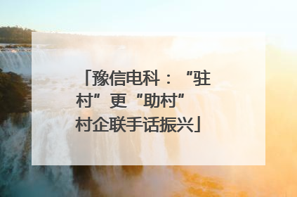 豫信电科：“驻村”更“助村” 村企联手话振兴