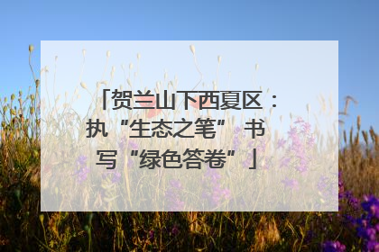 贺兰山下西夏区：执“生态之笔” 书写“绿色答卷”