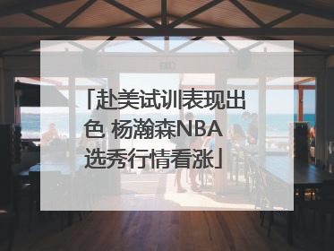 赴美试训表现出色 杨瀚森NBA选秀行情看涨