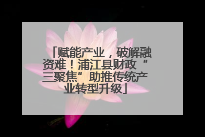 赋能产业，破解融资难！浦江县财政“三聚焦”助推传统产业转型升级