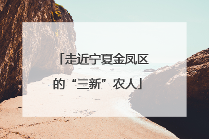 走近宁夏金凤区的“三新”农人