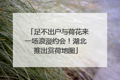 足不出户与荷花来一场浪漫约会！湖北推出赏荷地图