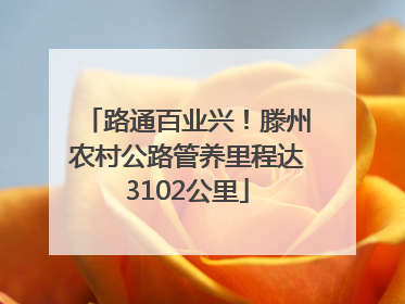 路通百业兴！滕州农村公路管养里程达3102公里