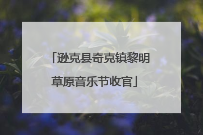 逊克县奇克镇黎明草原音乐节收官