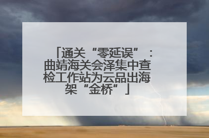 通关“零延误”：曲靖海关会泽集中查检工作站为云品出海架“金桥”