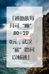 通勤族每月可“赚”80~100元，武汉“碳”路何以畅通