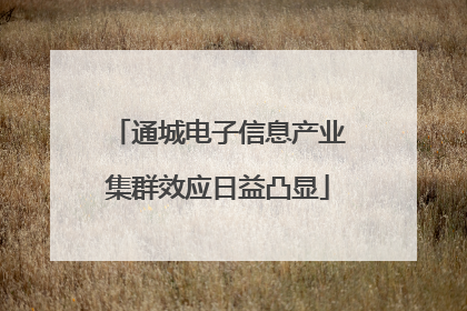 通城电子信息产业集群效应日益凸显
