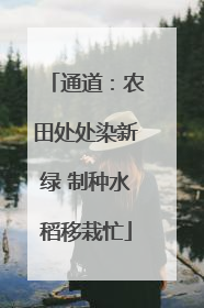 通道：农田处处染新绿 制种水稻移栽忙