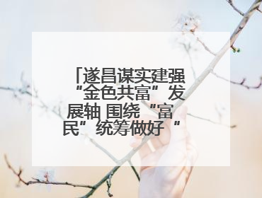 遂昌谋实建强“金色共富”发展轴 围绕“富民”统筹做好“三篇文章”