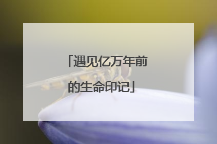 遇见亿万年前的生命印记