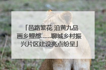 邑路繁花 沿黄九品 画乡鲤都……聊城乡村振兴片区建设亮点纷呈
