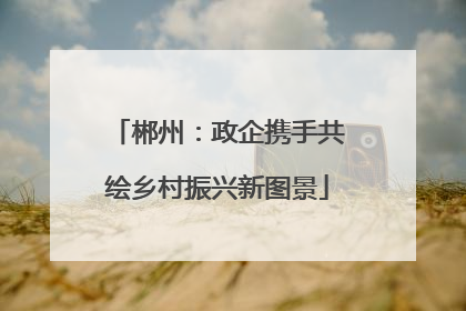 郴州：政企携手共绘乡村振兴新图景