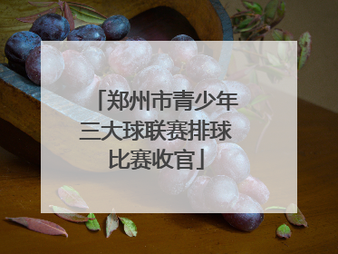 郑州市青少年三大球联赛排球比赛收官
