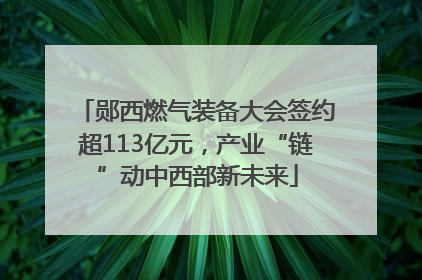 郧西燃气装备大会签约超113亿元，产业“链”动中西部新未来