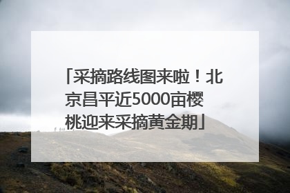 采摘路线图来啦！北京昌平近5000亩樱桃迎来采摘黄金期