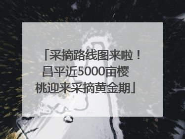 采摘路线图来啦！昌平近5000亩樱桃迎来采摘黄金期