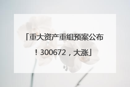 重大资产重组预案公布！300672，大涨