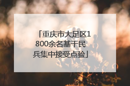 重庆市大足区1800余名基干民兵集中接受点验