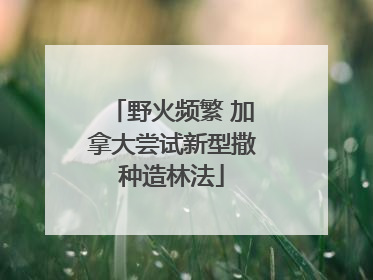 野火频繁 加拿大尝试新型撒种造林法