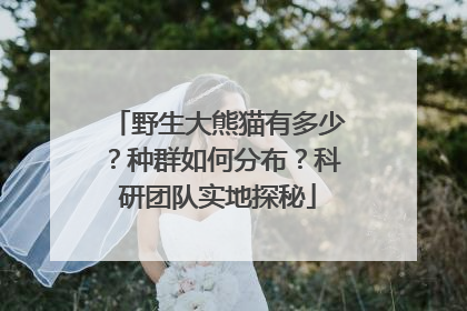 野生大熊猫有多少？种群如何分布？科研团队实地探秘