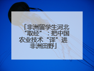 非洲留学生河北“取经”：把中国农业技术“译”进非洲田野