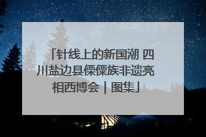 针线上的新国潮 四川盐边县傈僳族非遗亮相西博会｜图集