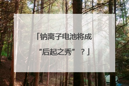 钠离子电池将成“后起之秀”？