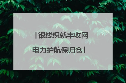 银线织就丰收网 电力护航保归仓