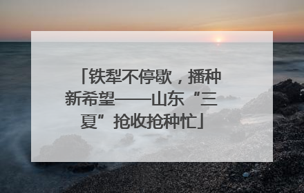 铁犁不停歇，播种新希望——山东“三夏”抢收抢种忙