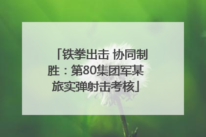 铁拳出击 协同制胜：第80集团军某旅实弹射击考核